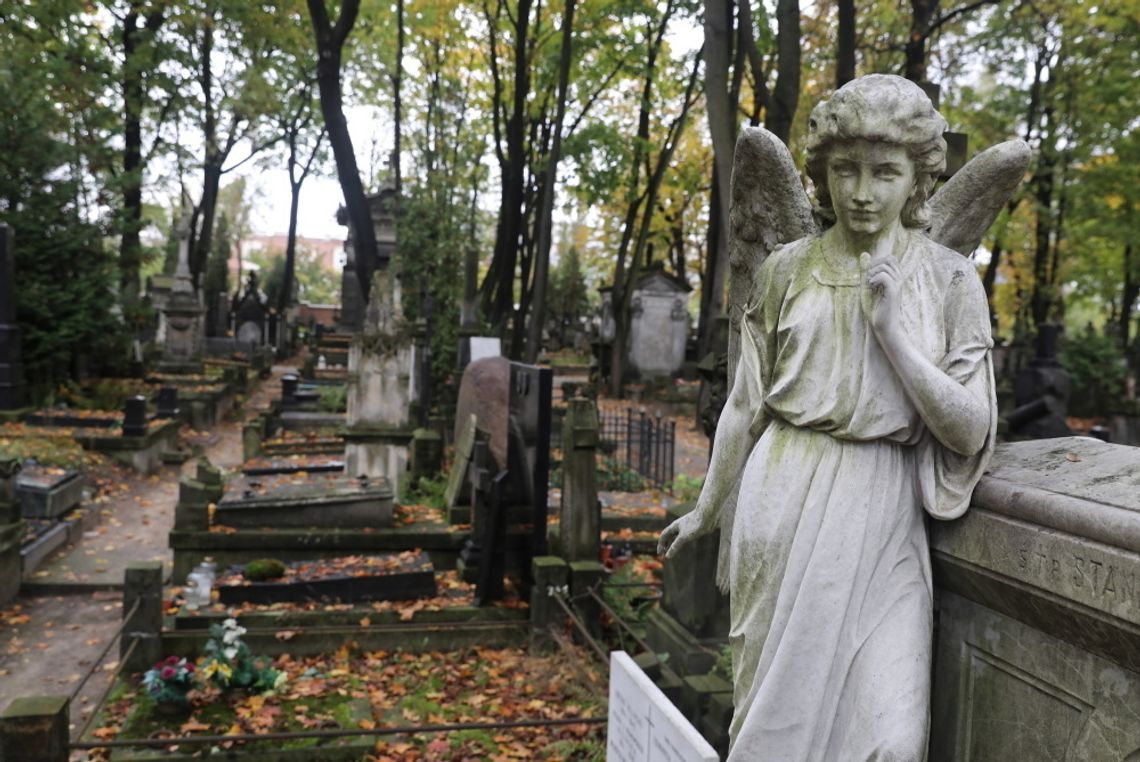 Szef MZ: Cmentarze na Wszystkich Świętych najprawdopodobniej będą otwarte