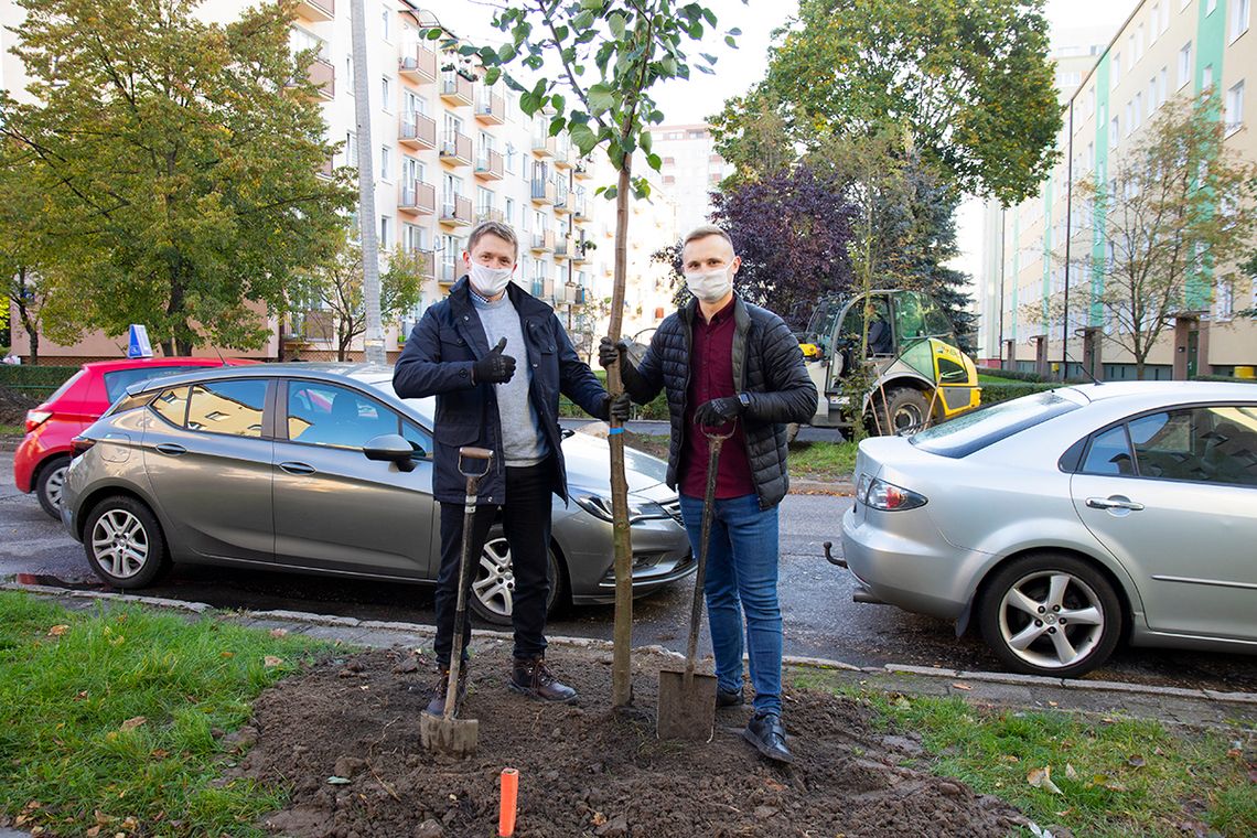W Bydgoszczy posadzono 23 nowe drzewa przy ul. Lelewela [FOTO]