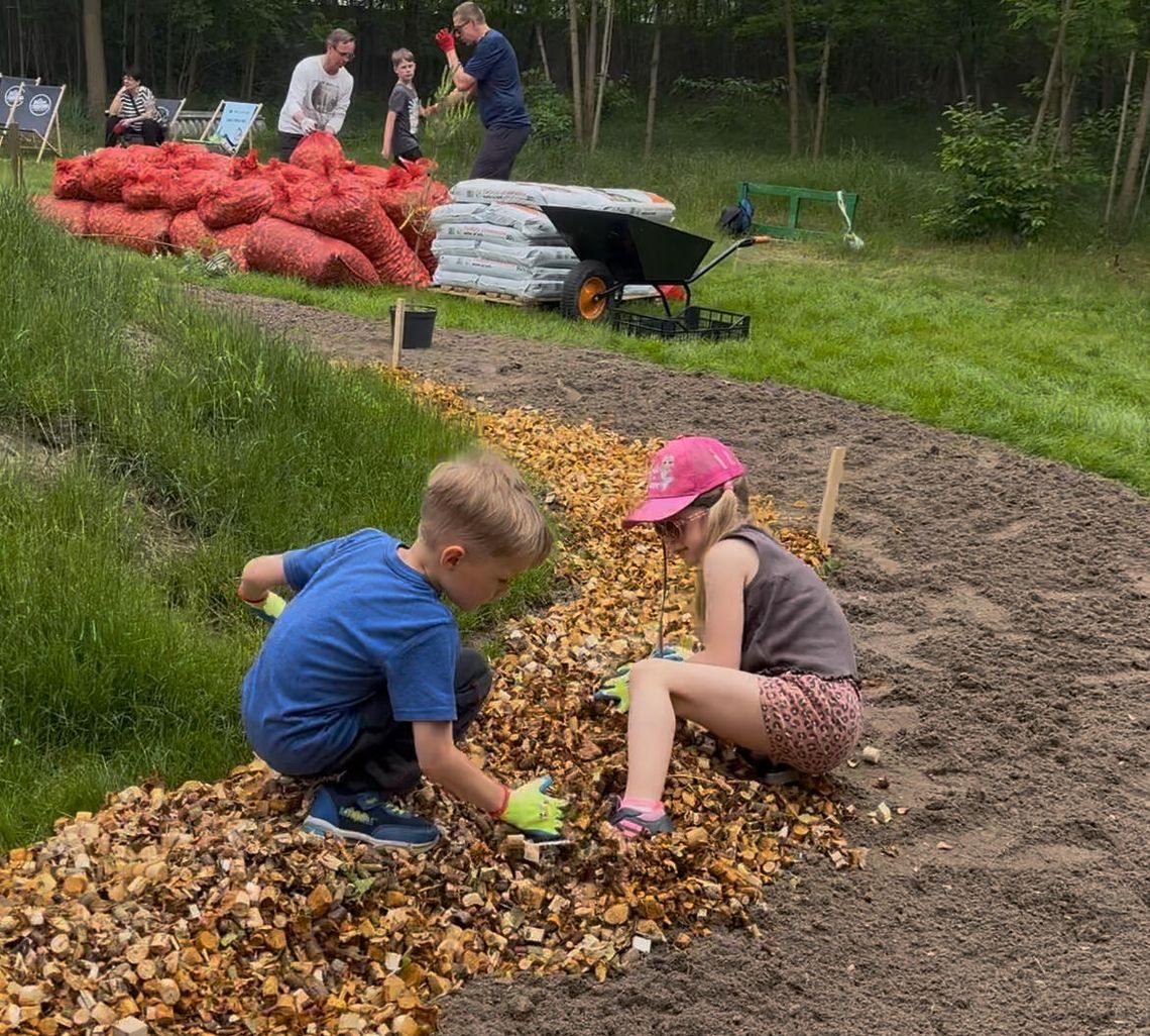 W Bydgoszczy powstaje ogród biocenotyczny. Więcej bioróżnorodności w centrum miasta W Bydgoszczy powstaje ogród biocenotyczny. Więcej bioróżnorodności w centrum miasta