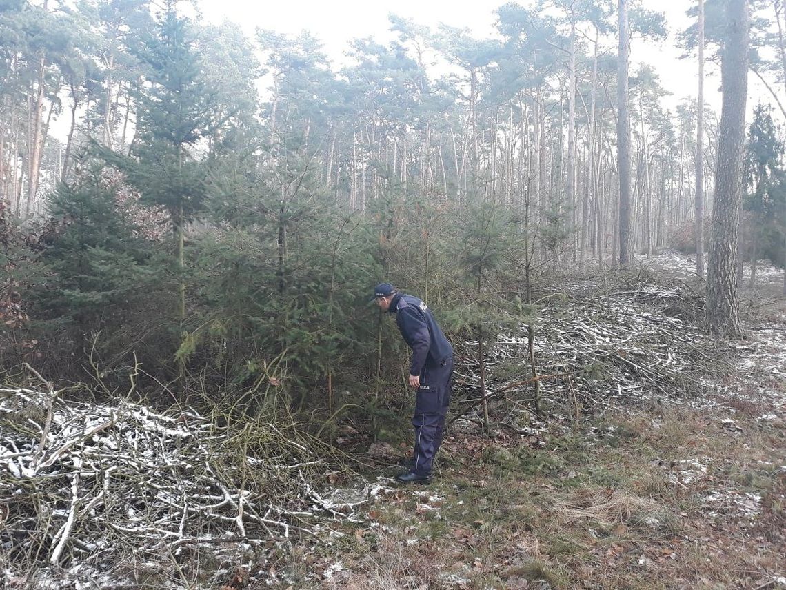 W regionie trwają kolejne kontrole w ramach akcji "Choinka" 