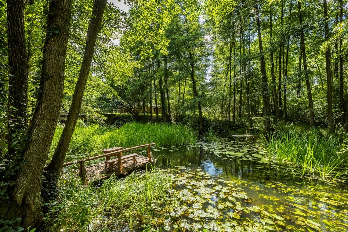 Wakacje w sercu przyrody: Tucholski Park Krajobrazowy Wakacje w sercu przyrody: Tucholski Park Krajobrazowy