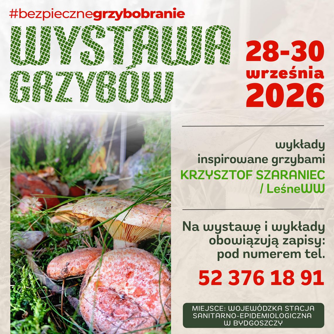 Wystawa grzybów leśnych w WSSE w Bydgoszczy. Zapisz się, zobacz, poznaj i naucz się rozpoznawać gatunki Wystawa grzybów leśnych w WSSE w Bydgoszczy. Zapisz się, zobacz, poznaj i naucz się rozpoznawać gatunki