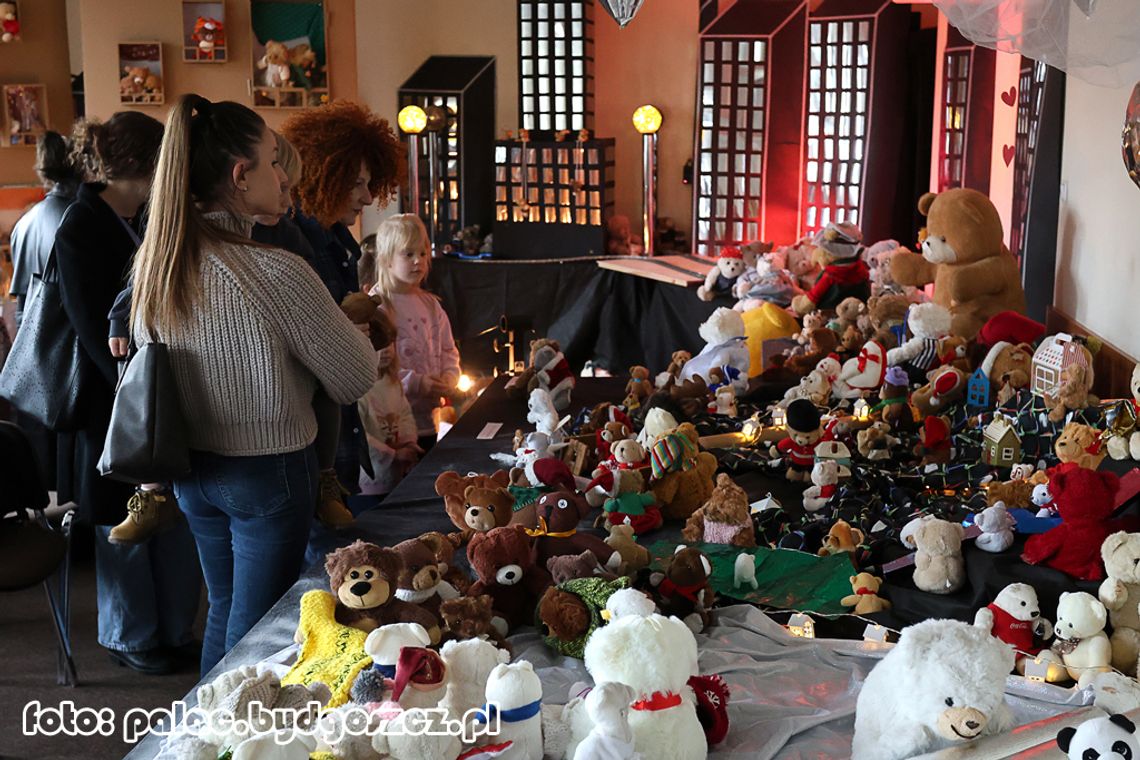 Wystawa Pluszowych Misiów w Pałacu Młodzieży: Misiowe budowanie relacji