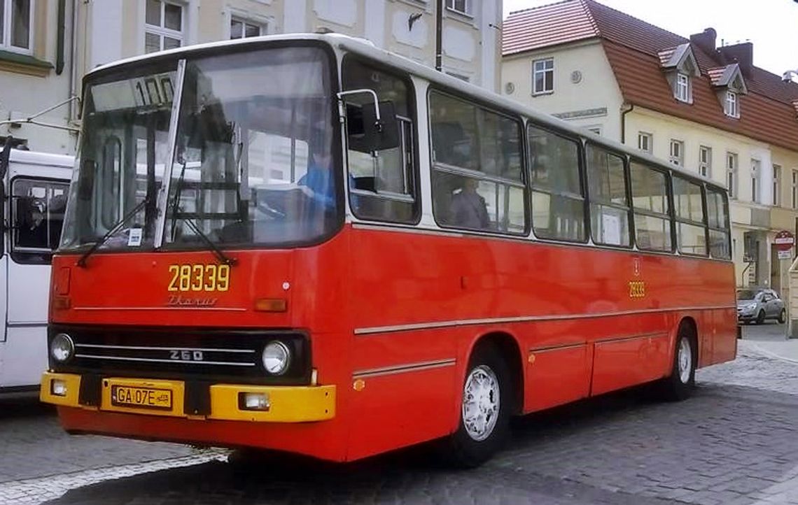 Zabytkowym autobusem na Święto Śliwki