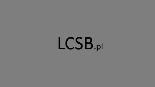 LCSB - rusztowania, dzierżawa, montaż, wynajem 