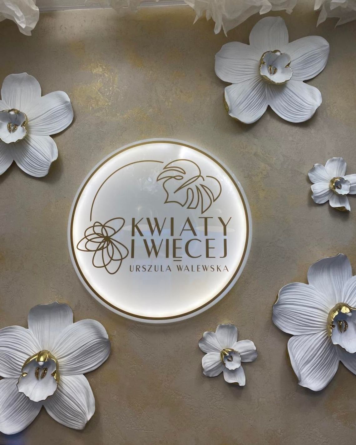 Kwiaciarnia Kwiaty i więcej Urszula Walewska Kraków