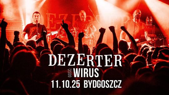 Koncert zespołu Dezerter na scenie