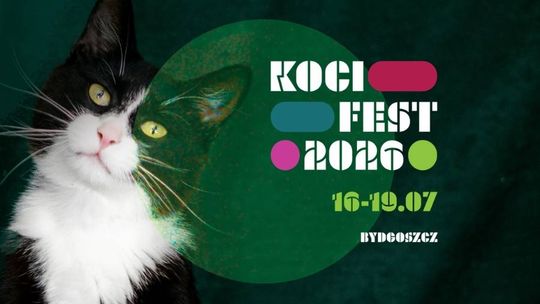 Plakat wydarzenia Koci Fest Road w Bydgoszczy z dużym zdjęciem czarno-białego kota