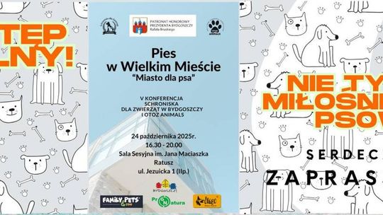 Plakat wydarzenia Pies w Wielkim Mieście
