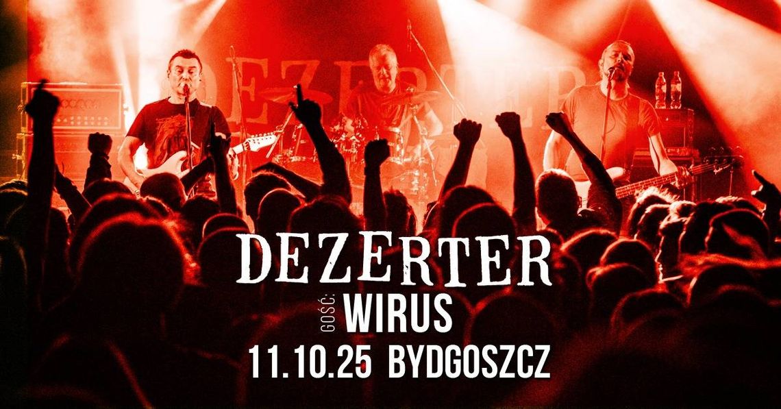 Koncert zespołu Dezerter na scenie