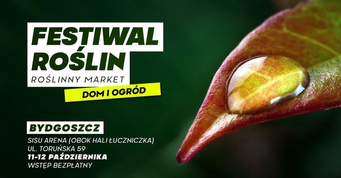 Plakat zapraszający na Festiwal Roślin