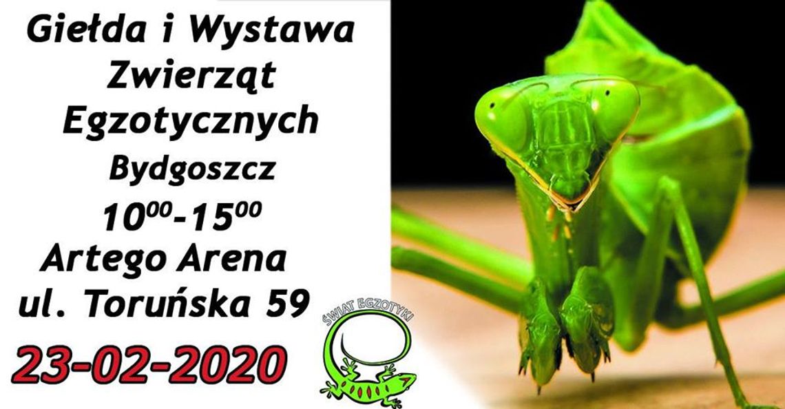 Giełda i Wystawa Zwierząt Egzotycznych w Bydgoszczy