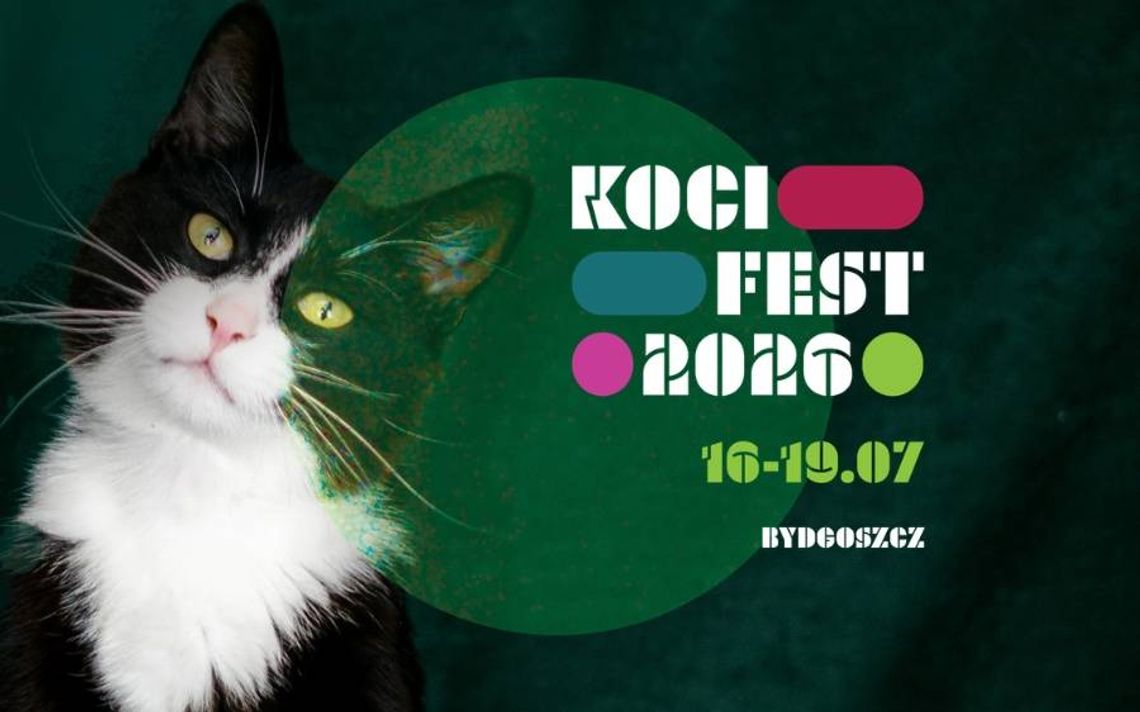 Koci Fest Road Plakat wydarzenia Koci Fest Road w Bydgoszczy z dużym zdjęciem czarno-białego kota
